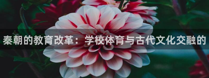 77体育官网