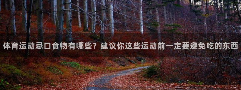 77体育官网