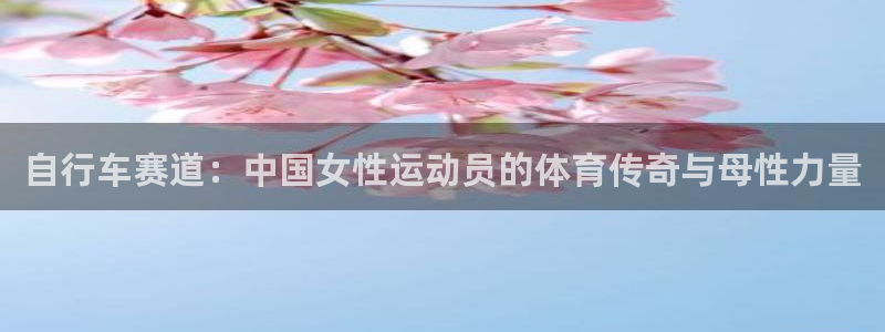 77体育app下载官网