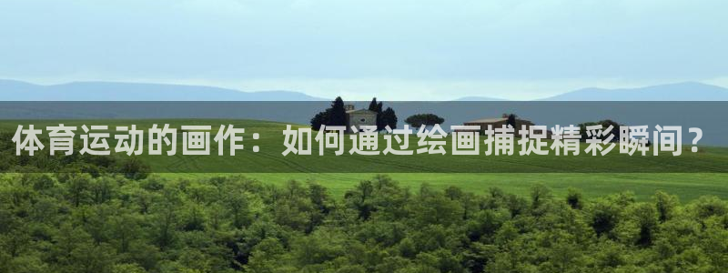 77体育