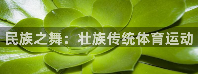 皇冠277体育