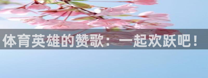 77体育app下载官网