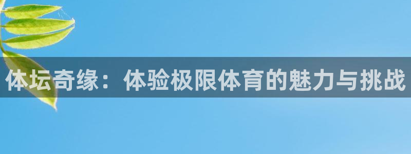 77体育官网：体坛奇缘：体验极限体育的魅力与挑战