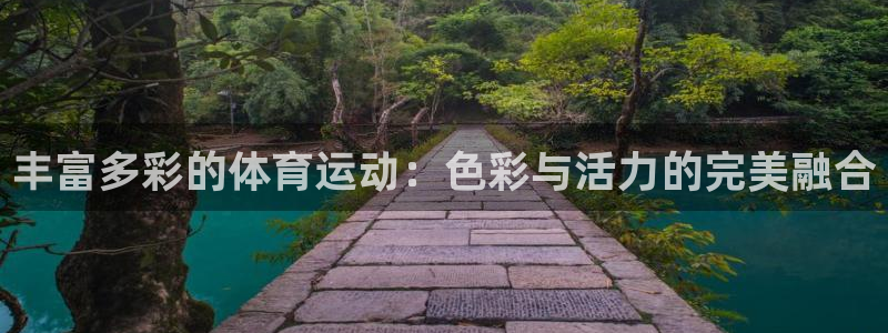 77体育官网：丰富多彩的体育运动：色彩与活力的完美融合