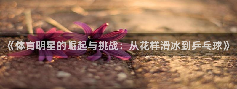 77体育：《体育明星的崛起与挑战：从花样滑冰到乒乓球》