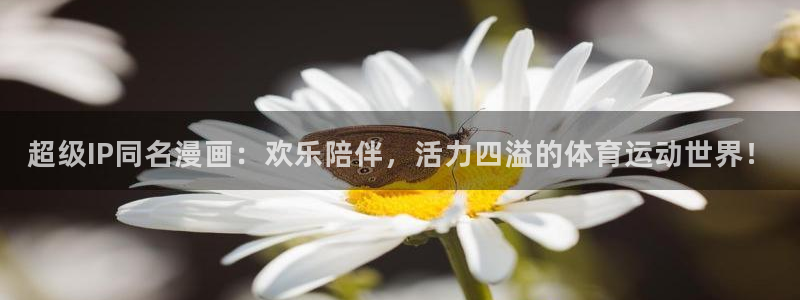 77体育官网：超级IP同名漫画：欢乐陪伴，活力四溢的体育运动世界！