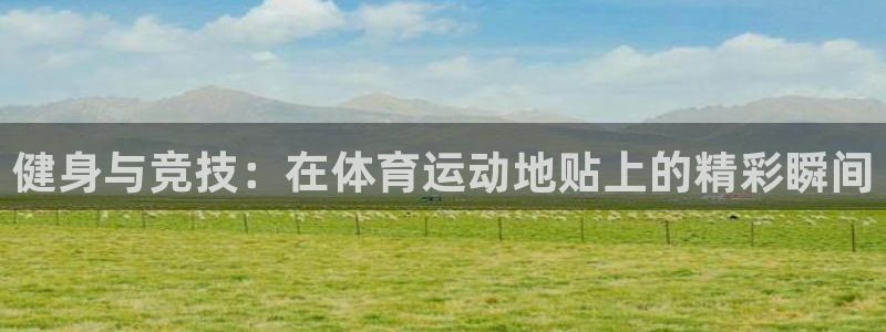 77体育app下载官网