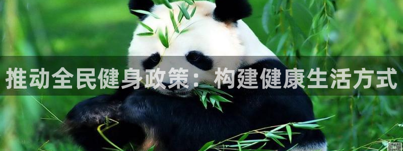 77体育app下载官网