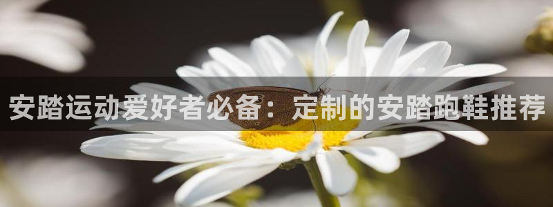 77体育官网