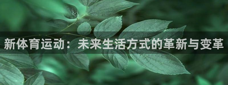 77体育app下载官网