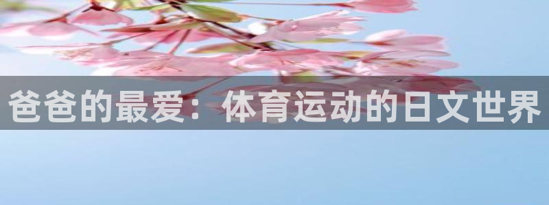 皇冠277体育：爸爸的最爱：体育运动的日文世界