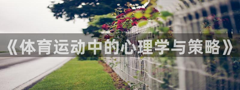 77体育官网