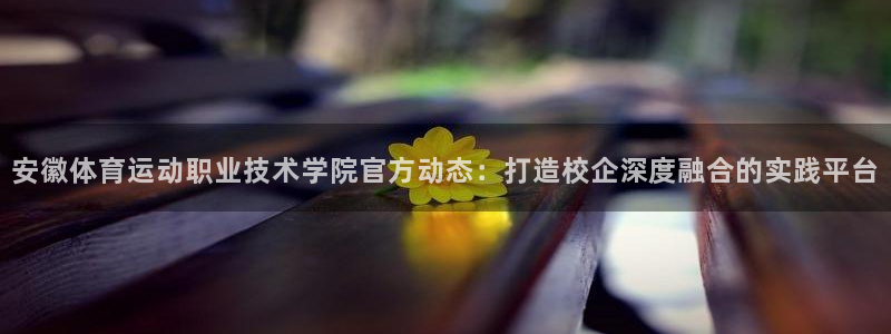 77体育：安徽体育运动职业技术学院官方动态：打造校企深度融合的实践平台